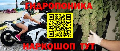 хмурый Бийск